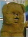 Bungle Chav Avatar